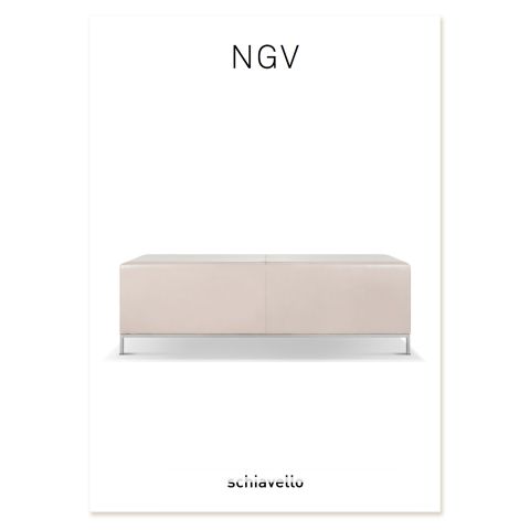 NGV Brochure