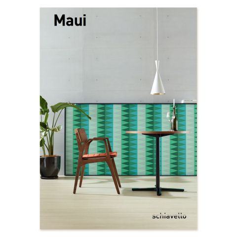 Maui Brochure