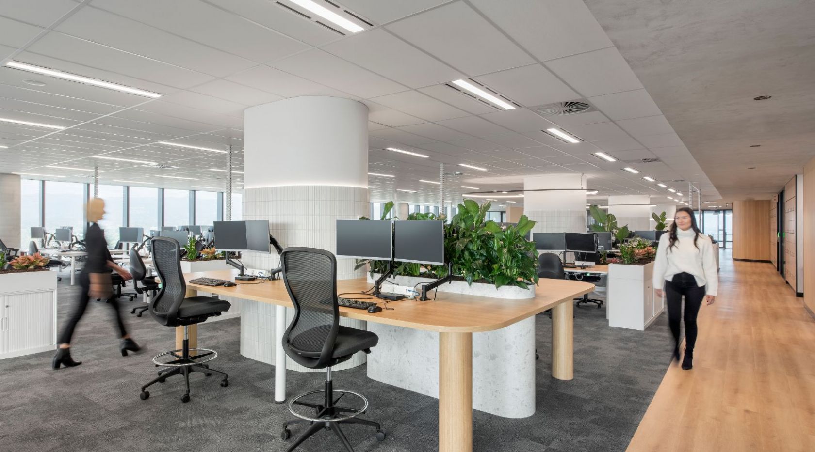 wsp adelaide south australia office fitout office working space