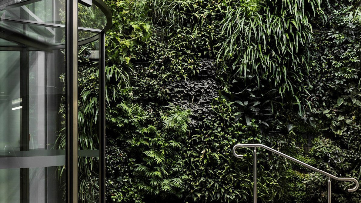 Full Width Image