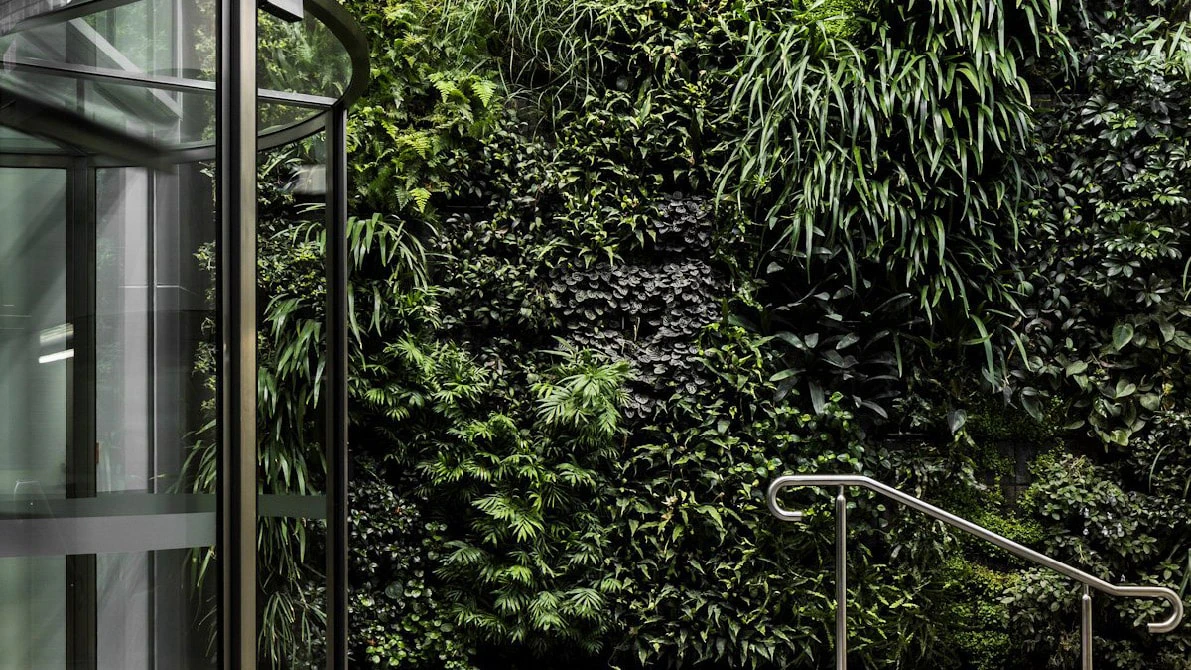 Full Width Image